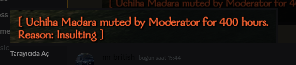 Ekran görüntüsü 2024-06-01 191105.png